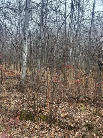 Tbdxx Golf Course Dr, Cushing, MN 56443