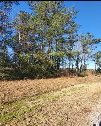 Cooley Springs Rd, Mount Olive, MS 39119