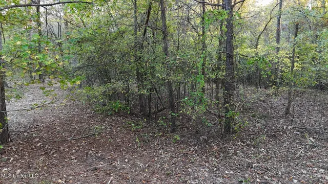 9426 Mississippi #315, Sardis, MS 38666