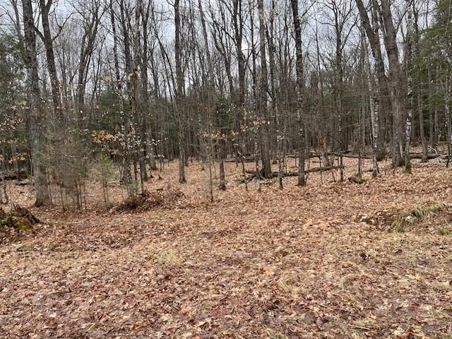 N  Forest Lake Rd #1, Land O Lakes, WI 54540