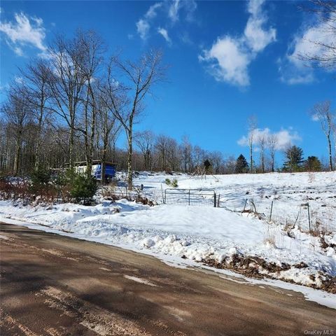  Anderson Road, Parksville, NY 12768