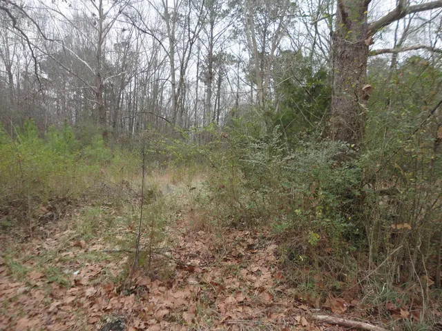 313 Self Ave, Hanceville, AL 35077
