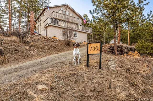 730 Bendemeer Drive, Evergreen, CO 80439