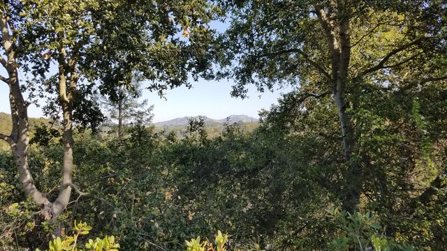 95 Via Floreado, Orinda, CA 94563