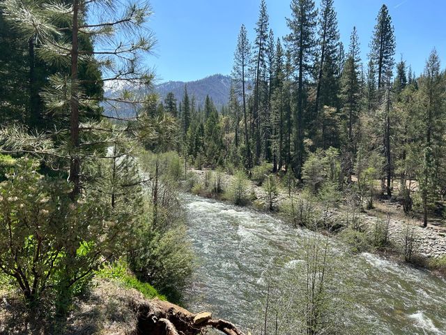 River St, Yosemite National Park, CA 95389