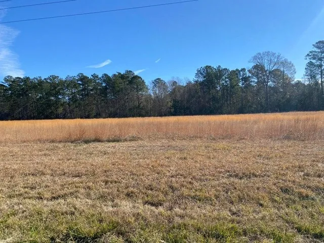 Lake Charles Hwy, Leesville, LA 71446