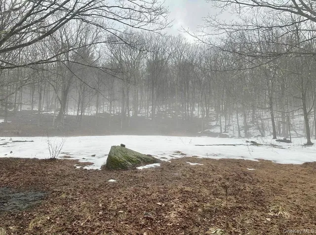 804 Hearts Content Road, Purling, NY 12470