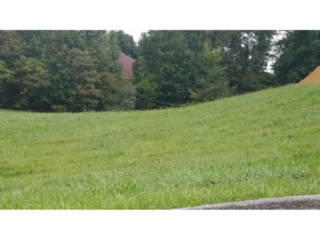 4 Clearwater Dr, Unicoi, TN 37692