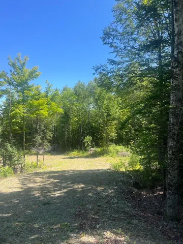 Lot 23.3 Forest City Road, Brookton, ME 04413