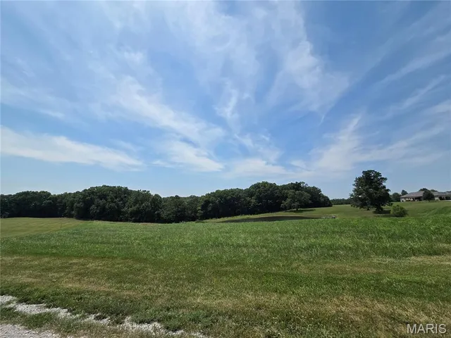 150 Saratoga Ln, Silex, MO 63377