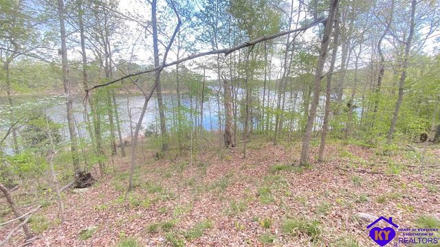 370 Cave Heights Ln, Falls Of Rough, KY 40119