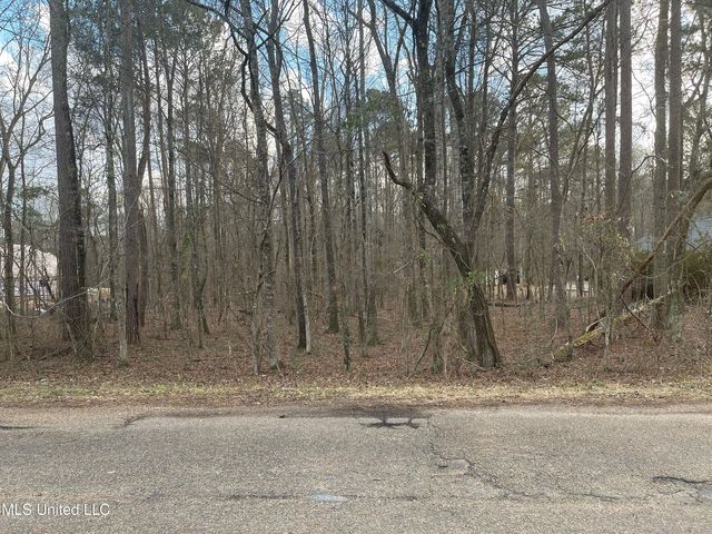 Pinedale Rd, Terry, MS 39170