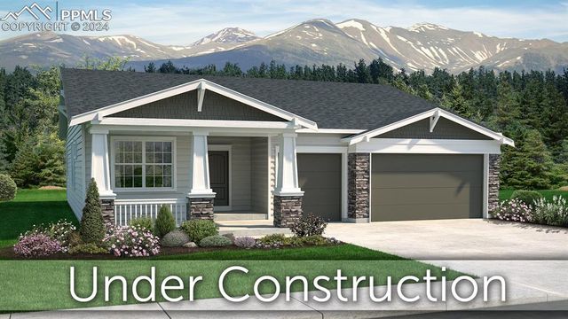4710 Horse Trader Pl, Monument, CO 80132