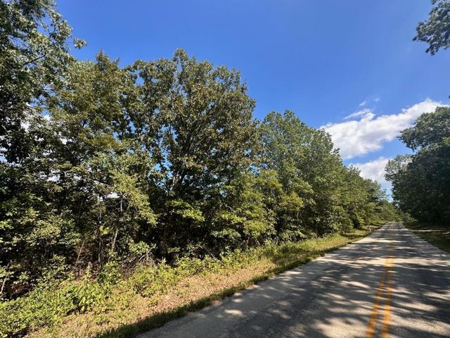 233 County Road 441, Birch Tree, MO 65438