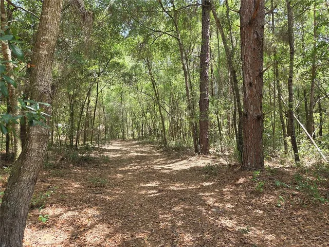11953 N GLENVIEW AVENUE LOT 2, Dunnellon, FL 34433