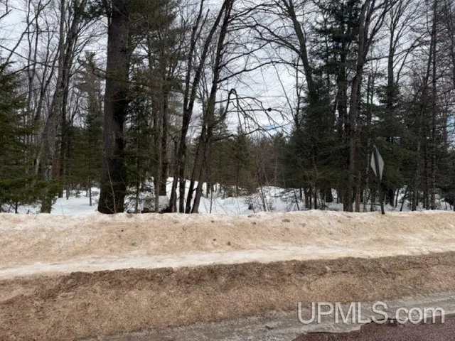 N  Lake Dr, Ishpeming, MI 49849