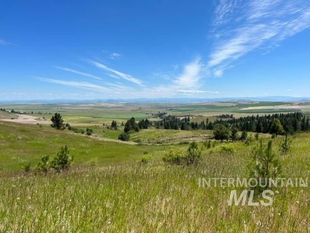 12 Over Yonder Rd, Cottonwood, ID 83522