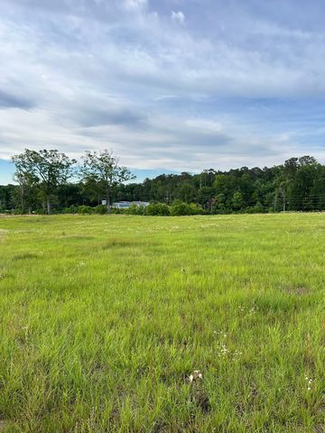 Liberty Hill Dr, Evergreen, AL 36401