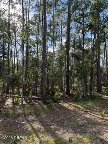 207 Ocala Ct, Georgetown, FL 32139