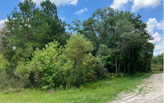 Lot 4 140th Court & 87th Ter, White Springs, FL 32096