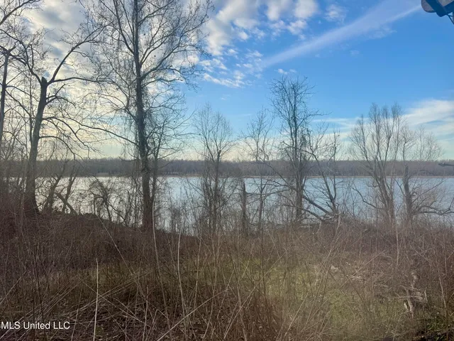 75 Desoto Lake Rd, Alligator, MS 38720