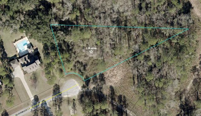 Lot  23 Silver Wood Ct, Moultrie, GA 31768