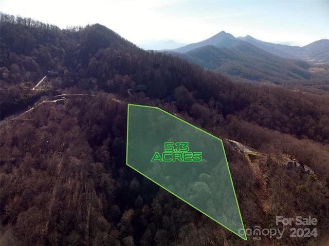215 View Ridge Pkwy #71 & 72, Leicester, NC 28748