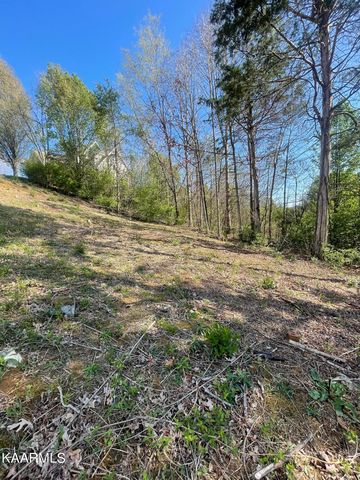1948 Winter Winds Ln   #63, Knoxville, TN 37909