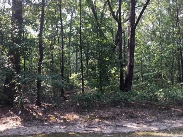 Lot 1 Witts Dr #1, Sherwood, AR 72120