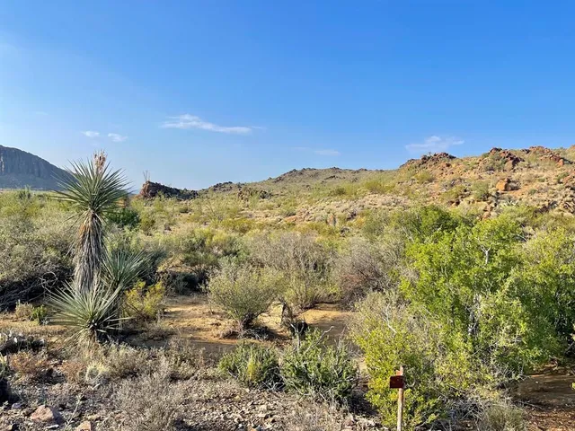 53040 S  Highway 118, Terlingua, TX 79852