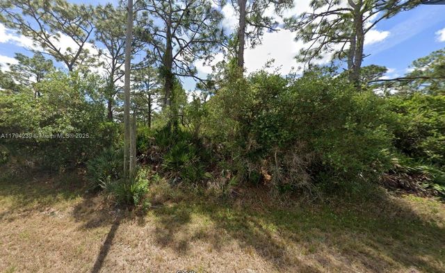 430 Tiger St NW, Lake Placid, FL 33852