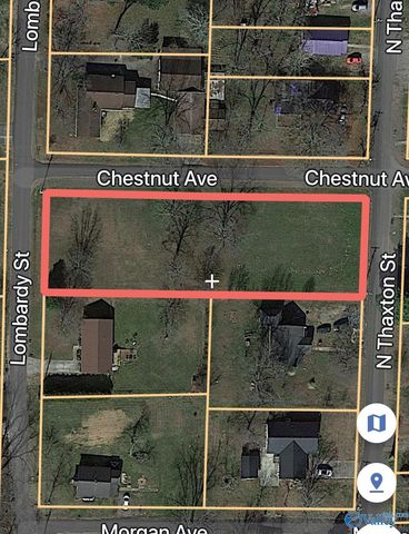 Lot 1 Chestnut Ave, Albertville, AL 35950