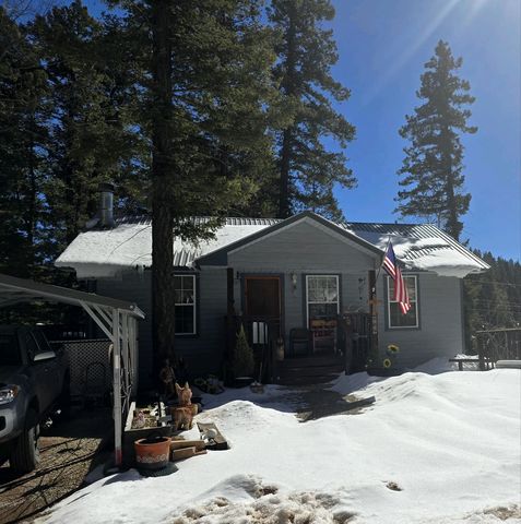 905 Panther Ave, Cloudcroft, NM 88317