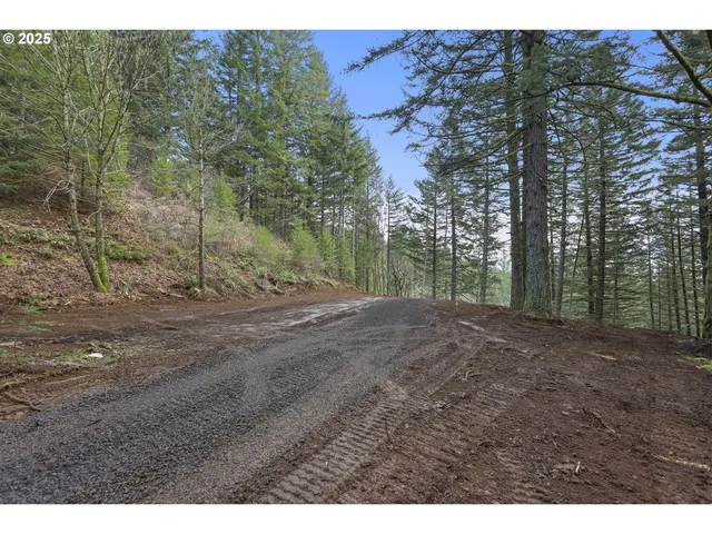 Kueffler Rd, Stevenson, WA 98648