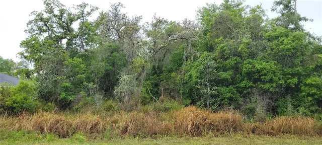 Spruce Rd #2, Ocala, FL 34472