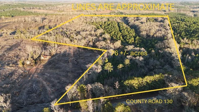 3581 County Road 130, Clopton, AL 36317
