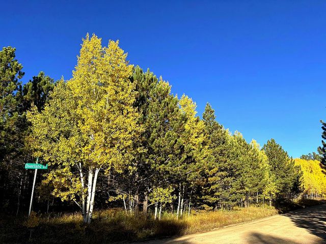 75 Overland Dr, Ward, CO 80481