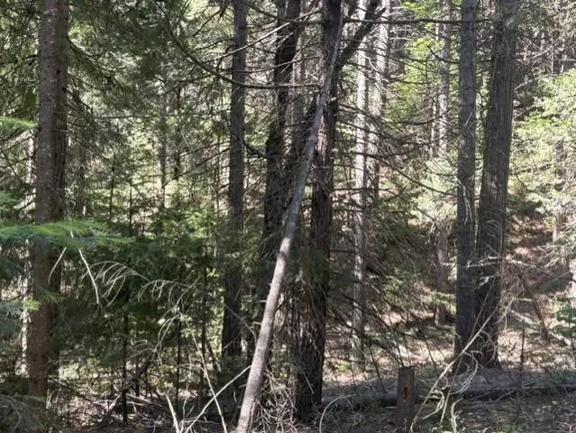 Lot 9 Audubon Rd, Mount Shasta, CA 96067