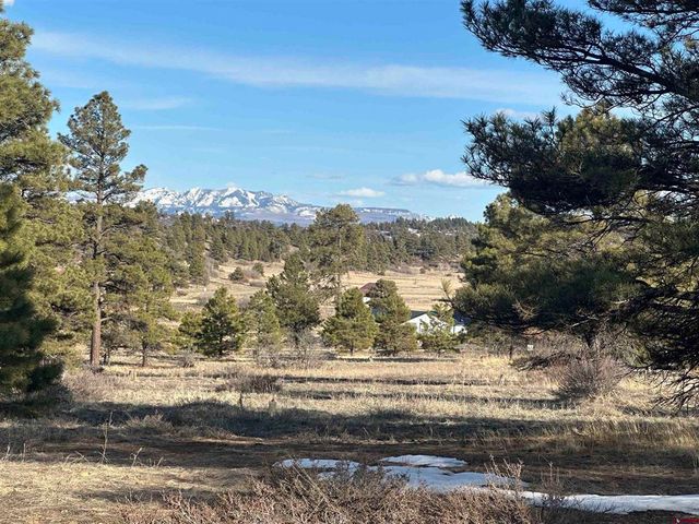 748 Trails Blvd, Pagosa Springs, CO 81147