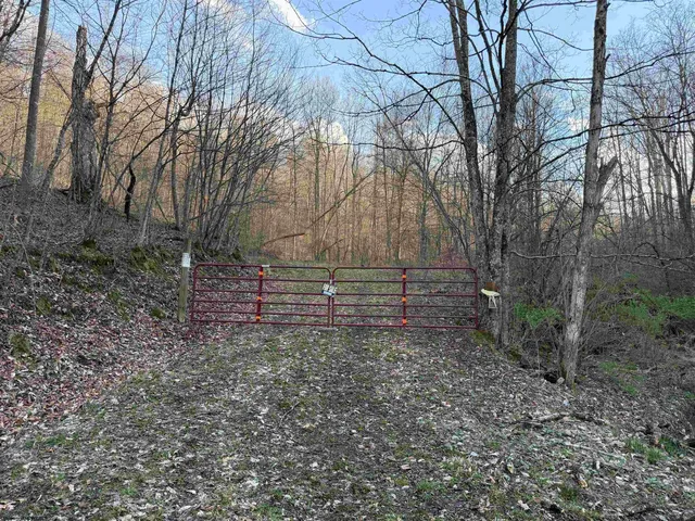 Wash Run Rd, Volga, WV 26238
