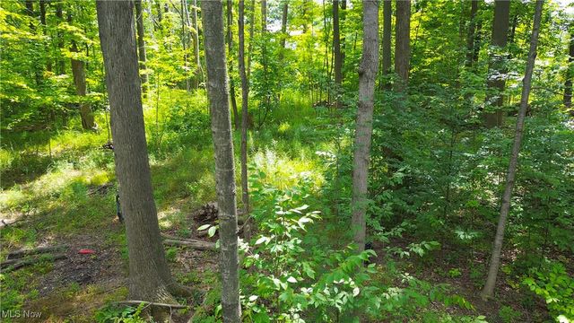 1151 Laurel Dr, West Salem, OH 44287