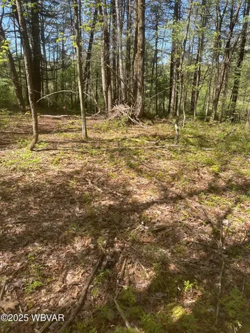 110 4th Gap Rd, Allenwood, PA 17810