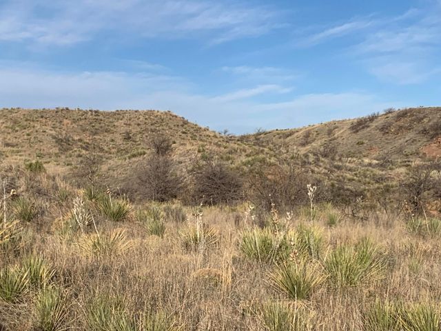 Quail Trl, Boys Ranch, TX 79010