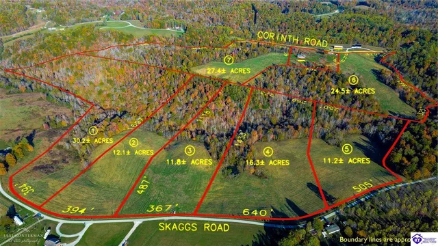 3 Skaggs Rd, Buffalo, KY 42716