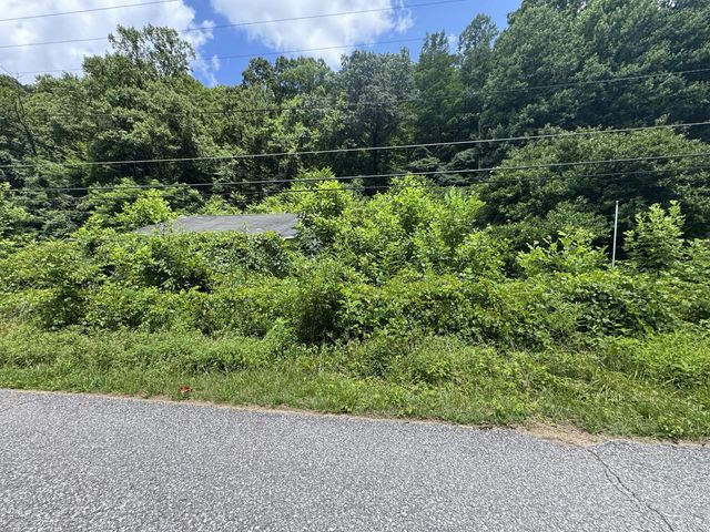 3099 Seng Creek Rd, Whitesville, WV 25209