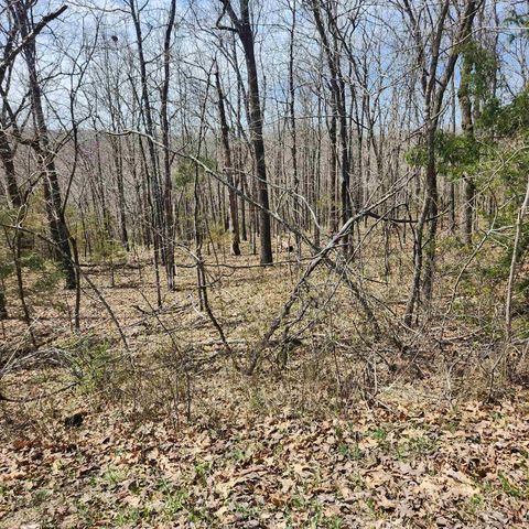 L-2-B Flathead Dr #11, Cherokee Village, AR 72529