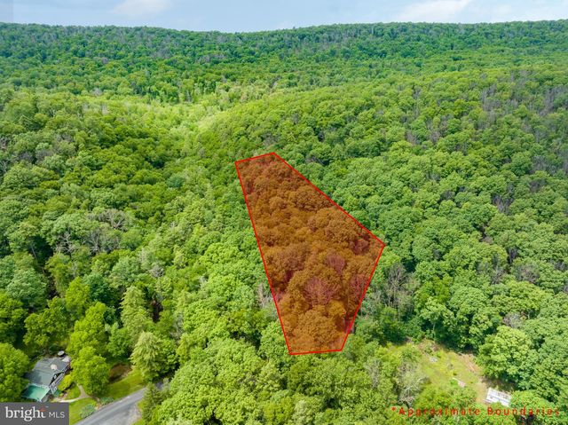 LOT On Gingerich Gap Rd, Spring Mills, PA 16875