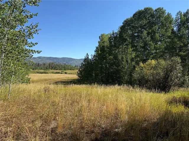 Lot 37 Colt Trail, Oak Creek, CO 80467