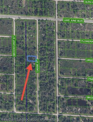 940 Cassie St, Lake Placid, FL 33852