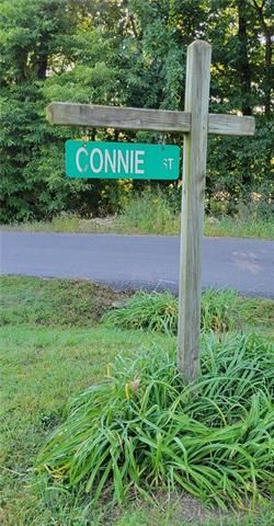 Connie St, Otterville, MO 65348